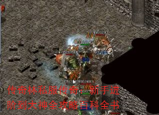 传奇林私服传奇:新手进阶到大神全攻略百科全书 传奇林私服传奇:新手进阶到大神全攻略百科全书