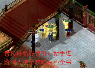 传奇林私服传奇:新手进阶到大神全攻略百科全书 传奇林私服传奇:新手进阶到大神全攻略百科全书