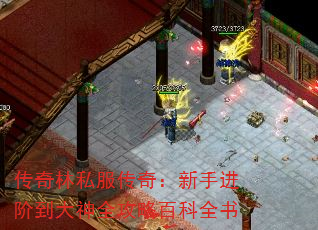 传奇林私服传奇:新手进阶到大神全攻略百科全书 传奇林私服传奇:新手进阶到大神全攻略百科全书