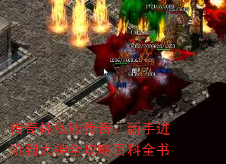 传奇林私服传奇:新手进阶到大神全攻略百科全书 传奇林私服传奇:新手进阶到大神全攻略百科全书