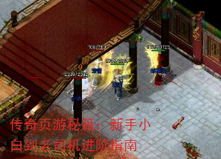 传奇页游秘籍:新手小白到老司机进阶指南 传奇页游秘籍:新手小白到老司机进阶指南