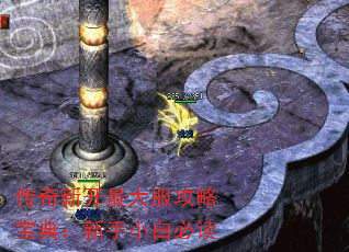 传奇新开最大服攻略宝典:新手小白必读 传奇新开最大服攻略宝典:新手小白必读