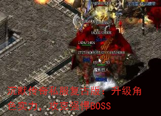 沉默传奇私服复古版:升级角色实力,攻克强悍BOSS 沉默传奇私服复古版:升级角色实力,攻克强悍BOSS