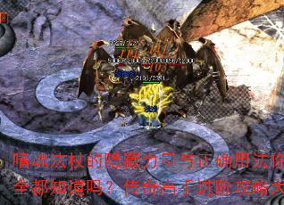 Ȼ귨ȵȷ÷ȫ֪𣿴ֽ׹Դ