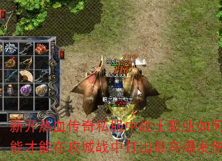 ¿Ѫ˽սʿְҵδ似ܲڹսд߱˺