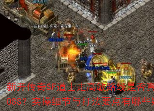 ¿SFʿ߸·ǷĸBOSSʵϸҪЩʴ⣿