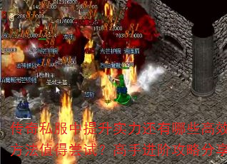 ˽ʵЩЧֵóԣֽ׹Է