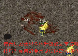 传奇玩家沃玛森林升级必须掌握哪些技巧?如何避免常见误区高效刷怪? 传奇玩家沃玛森林升级必须掌握哪些技巧?如何避免常见误区高效刷怪?