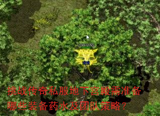 ս˽¹׼ЩװҩˮŶӲԣ