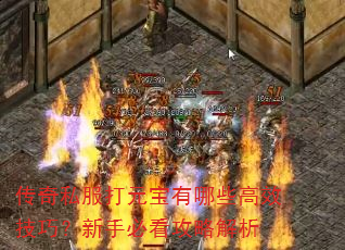 传奇私服打元宝有哪些高效技巧?新手必看攻略解析 传奇私服打元宝有哪些高效技巧?新手必看攻略解析