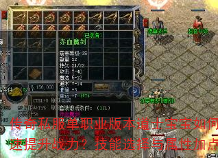 传奇私服单职业版本道士宝宝如何培养才能快速提升战力?技能选择与属性加点技巧全解析 传奇私服单职业版本道士宝宝如何培养才能快速提升战力?技能选择与属性加点技巧全解析