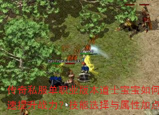 传奇私服单职业版本道士宝宝如何培养才能快速提升战力?技能选择与属性加点技巧全解析 传奇私服单职业版本道士宝宝如何培养才能快速提升战力?技能选择与属性加点技巧全解析