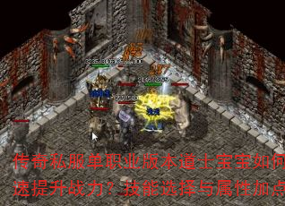 传奇私服单职业版本道士宝宝如何培养才能快速提升战力?技能选择与属性加点技巧全解析 传奇私服单职业版本道士宝宝如何培养才能快速提升战力?技能选择与属性加点技巧全解析