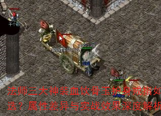 ʦװѪָѡԲʵսЧȽ