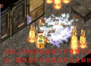 ʦװѪָѡԲʵսЧȽ