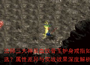 ʦװѪָѡԲʵսЧȽ