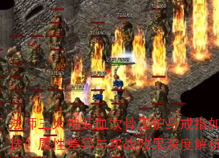 ʦװѪָѡԲʵսЧȽ