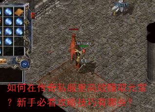 如何在传奇私服里高效赚取元宝?新手必看攻略技巧有哪些? 如何在传奇私服里高效赚取元宝?新手必看攻略技巧有哪些?