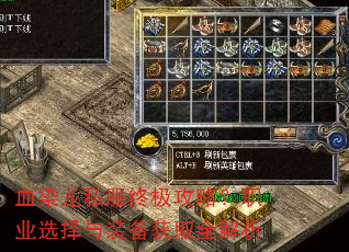 ѪȾ˽ռԣְҵѡװȡȫ