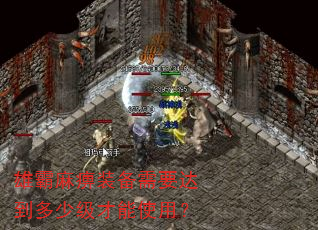 雄霸麻痹装备需要达到多少级才能使用? 雄霸麻痹装备需要达到多少级才能使用?