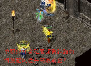 ְҵ˽Ƶ·ιܷղЧˢ