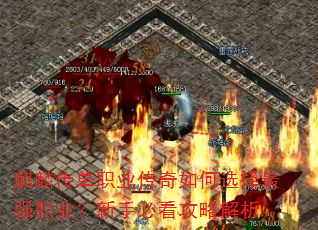 봫ְҵѡǿְҵֱؿԽ