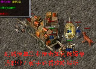 봫ְҵѡǿְҵֱؿԽ