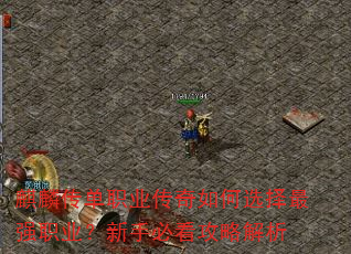 봫ְҵѡǿְҵֱؿԽ