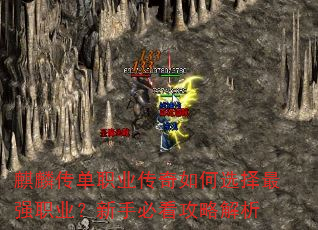 봫ְҵѡǿְҵֱؿԽ