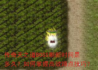 ֮BOSSˢʱǶãոЧ׵㼼ɣ