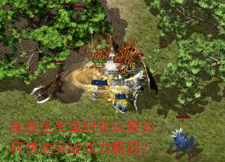 魔血迷失单职业玩家如何快速突破战力瓶颈? 魔血迷失单职业玩家如何快速突破战力瓶颈?