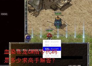血染苍龙GM指令代码是多少求高手解答? 血染苍龙GM指令代码是多少求高手解答?
