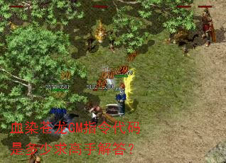 血染苍龙GM指令代码是多少求高手解答? 血染苍龙GM指令代码是多少求高手解答?