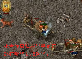 冰雪传奇私服里鉴定符都有哪些获取途径? 冰雪传奇私服里鉴定符都有哪些获取途径?