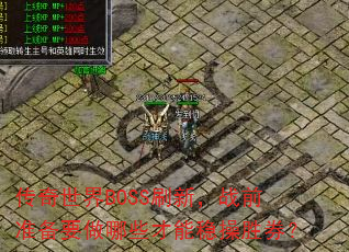 BOSSˢ£սǰ׼ҪЩȲʤȯ