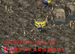 ˽BOSSսƷһЩƷװܱ