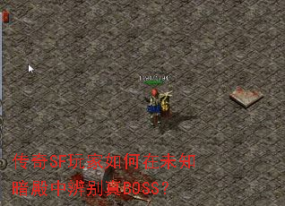 SFδ֪бBOSS