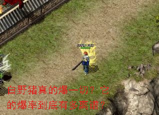 白野猪真的爆一切?它的爆率到底有多离谱? 白野猪真的爆一切?它的爆率到底有多离谱?