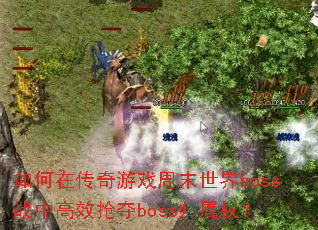 ڴϷĩbossսиЧbossȨ