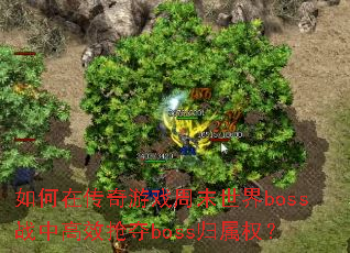 ڴϷĩbossսиЧbossȨ