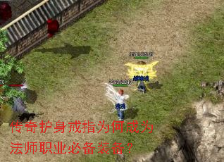 滤ָΪγΪʦְҵرװ