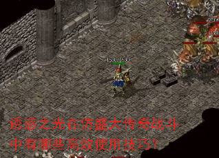 ջ֮ڷʢսЩЧʹüɣ