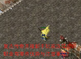 Ŵ濪ѡʦְҵЩע