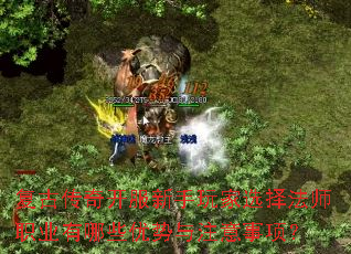 Ŵ濪ѡʦְҵЩע