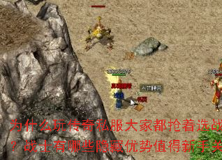 Ϊʲô洫˽ҶѡսʿְҵսʿЩֵֹע