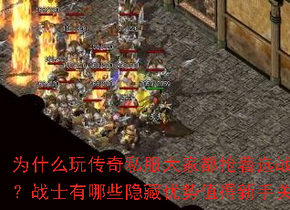 Ϊʲô洫˽ҶѡսʿְҵսʿЩֵֹע