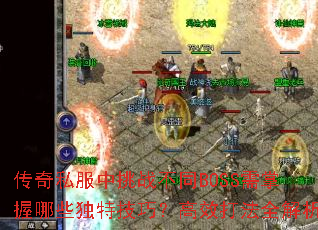 ˽սͬBOSSЩؼɣЧȫ