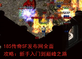 185SFȫ湥ԣŵ۷֮·