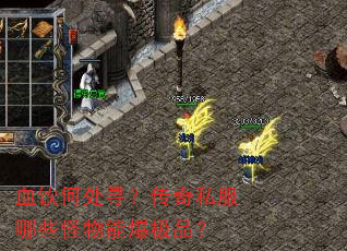 Ѫ���δ�Ѱ������˽����Щ�����ܱ���Ʒ��