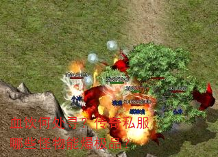 Ѫ���δ�Ѱ������˽����Щ�����ܱ���Ʒ��